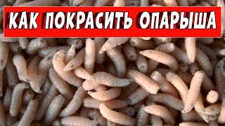 Как сделать красный опарыш для рыбалки