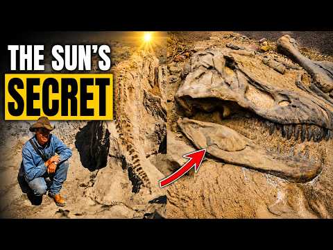 Scientists Found a 4.6-Billion-Year-Old Fossil… and It Rewrites ...