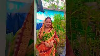 Download lagu Jibini mun barsa re #song mp3