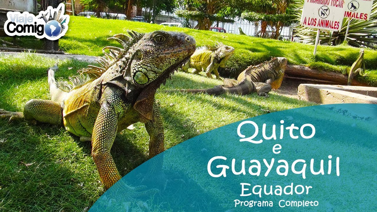 QUITO E GUAYAQUIL - EQUADOR | Programa Viaje Comigo