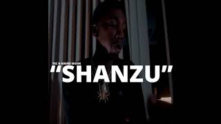 Maine Musik - Shanzu