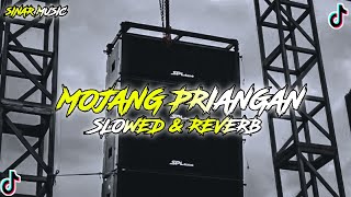 Download lagu DJ Mojang Priangan ( Slowed & Reverb ) mp3