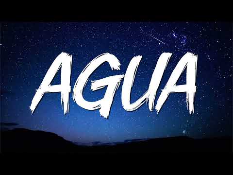 Daddy Yankee x Rauw Alejandro x Nile Rodgers ╸Agua