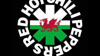 Red Hot Chili Peppers- Brandy(Millennium Stadium, Cardiff, Wales,23-06-2004)