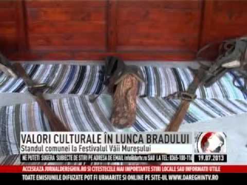 Valori culturale in Lunca Bradului