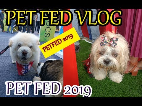vlog|Pet Fed vlog 2019 | Pet Fed/India's biggest Pet show 2019