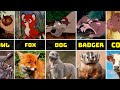 The Fox And The Hound Characters In Real Life