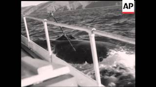 WHALING STORY - SOUND