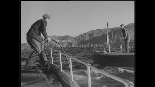 WHALING STORY - SOUND