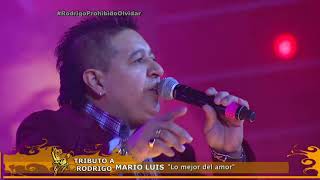 Lo Mejor Del Amor Lyrics English Translation