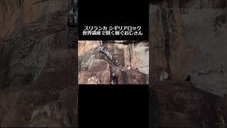 スリランカ シギリアロック 世界遺産で賢く稼ぐおじさん #スリランカ #シギリアロック #srilanka #sigiriyarock #travel
