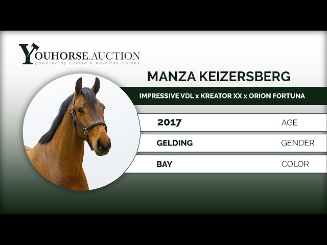 Manza Keizersberg under the saddle