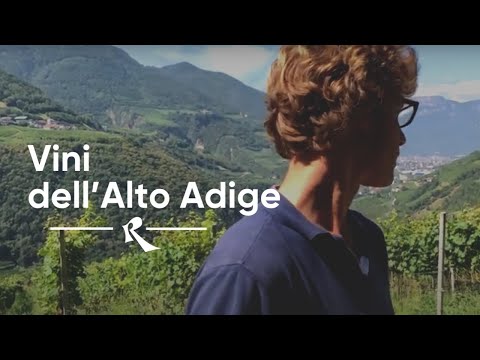 Vini dell'Alto Adige - In Der Eben - Urban Plattner