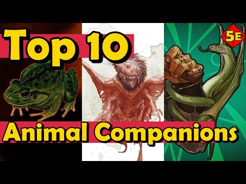 Top 10 Best Animal Companions For Beast Master Rangers in DnD 5E