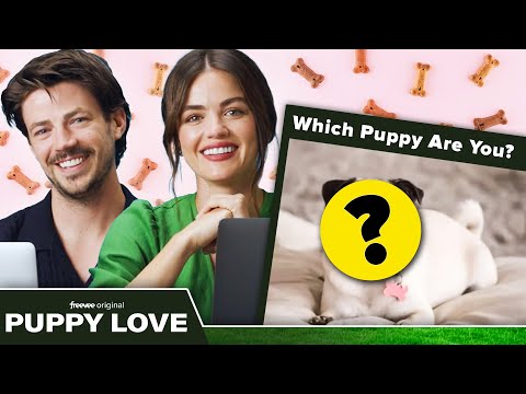 Lucy Hale & Grant Gustin Find Out Which Dog Breed They Really Are