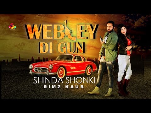 Webley Di Gun