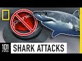 Shark Attacks 101 | National Geographic