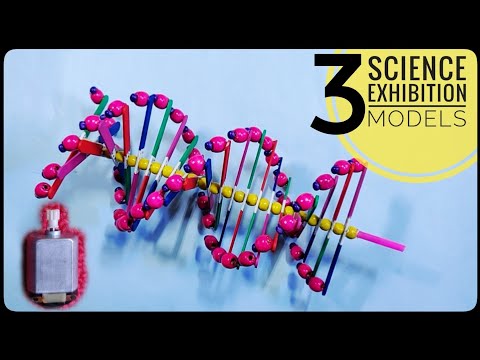 3 Easy DNA MODEL PROJECT Ideas | Science Exhibition Models |