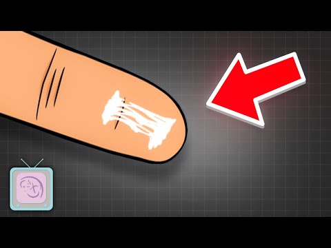 Ovulation Predictor Tests Will They Help You Become Pregnant