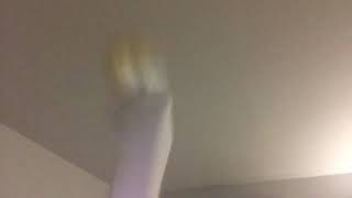 Christopher Cerf (Little Chrissy and the Alphabeats, Sesame Street): You’re Alive