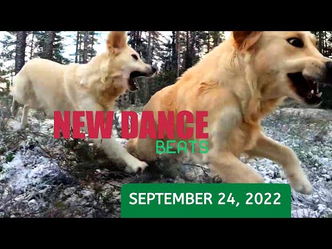 NEW DANCE BEATS EP. 114 - SEPTEMBER 24, 2022