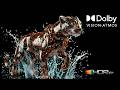 Dolby Vision 4K HDR Ultra HD Showcase Experience Visual Perfection