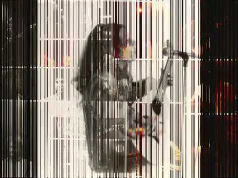 Solange Borges e Telo Borges - Voa Bicho