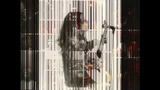 Solange Borges e Telo Borges - Voa Bicho