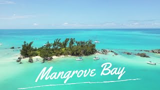 Exploring Bermuda - Mangrove Bay - Ep 6 | Blue Horizon Diving