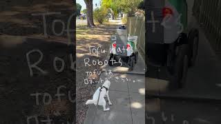 Tofu hates robots / tofuはロボットがきらい。 #california #カリフォルニア #ロサンゼルス #海外 #犬 #robot