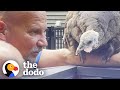 Wild Turkey Adopts Human Family So They Build Her A Home! | The Dodo Wild Hearts