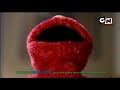 Elmo Live UK Ad On Cartoon Network