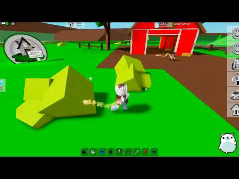 ABBIAMO ATTIVATO IL PORTALE DI BROOKHAVEN!