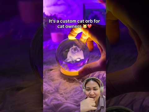 @PawMemoirs-z2q Lucu banget kucing kesayangan lampu tidur #dubbingvideo #shortvideo #shorts