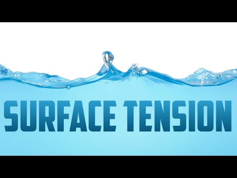 How does Surface Tension work?