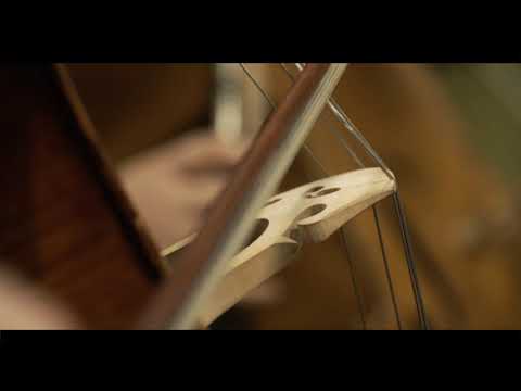 Lekcja gry na wiolonczeli