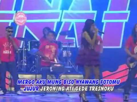 download lagu mp3 mp4 Download Musik Dangdut Koplo Sonata Mp3, download lagu Download Musik Dangdut Koplo Sonata Mp3 gratis, unduh video klip Download Musik Dangdut Koplo Sonata Mp3