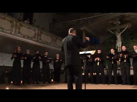 Video thumbnail for In te speravi, Domine