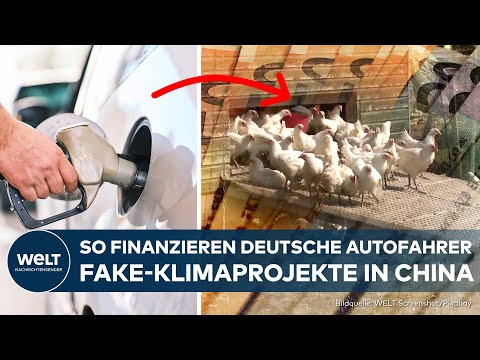 ABZOCKE IN MILLIARDENHÖHE: Deutsche Autofahrer finanzieren Fake-Klimaprojekte im Ausland
