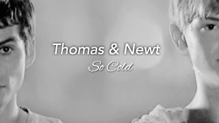 Thomas & Newt || So Cold