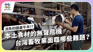 [問卦] 公視為何特別做報導質疑進口牛奶