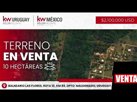 Venta de campo frente al mar , 10 hectáreas, Las Flores, Maldonado