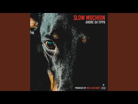 Slow Mochion