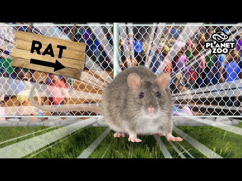 i made a zoo with the WORST animals in planet zoo