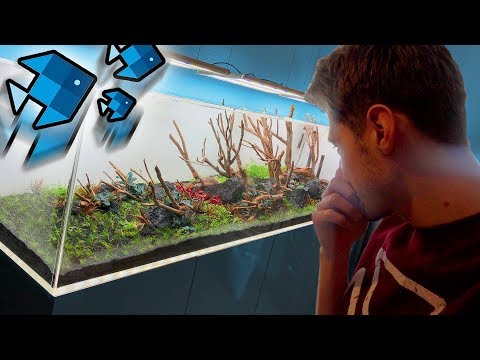 The XXL aquarium is finished! 😳
