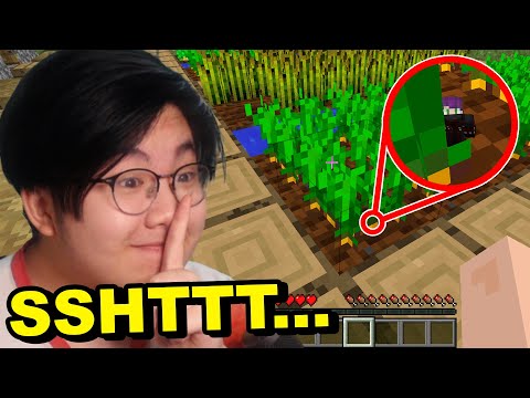 Shrinking in Minecraft? Watch me play hide and seek!