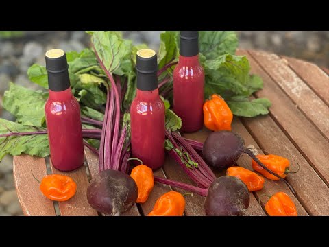 How to Make Fermented Habanero Beet Hot Sauce / Homebrew and BBQ HQ