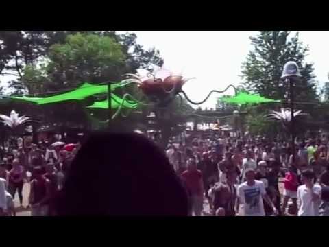 Djane Freedu at Fusion Festival 2014