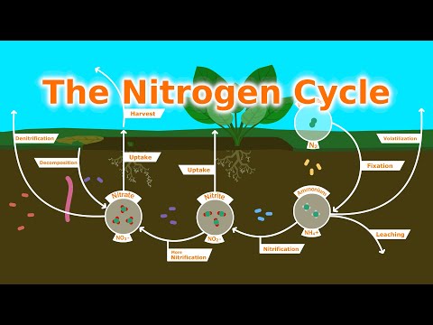 , title : 'Understanding Our Soil: The Nitrogen Cycle, Fixers, and Fertilizer'