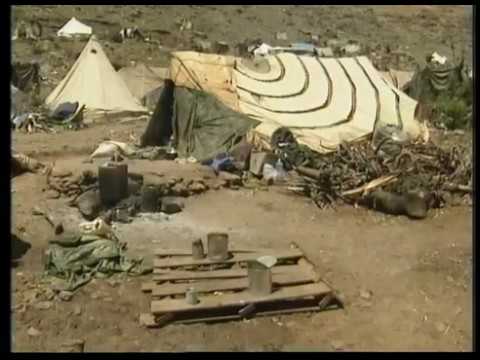 Golf 1991 Eine Tragödie Entwickelt Sich ( 1991 )